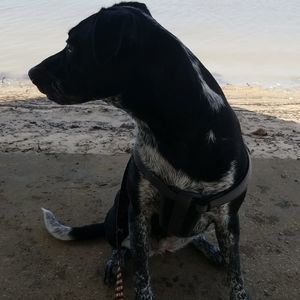 Meet your Posher, Ashli